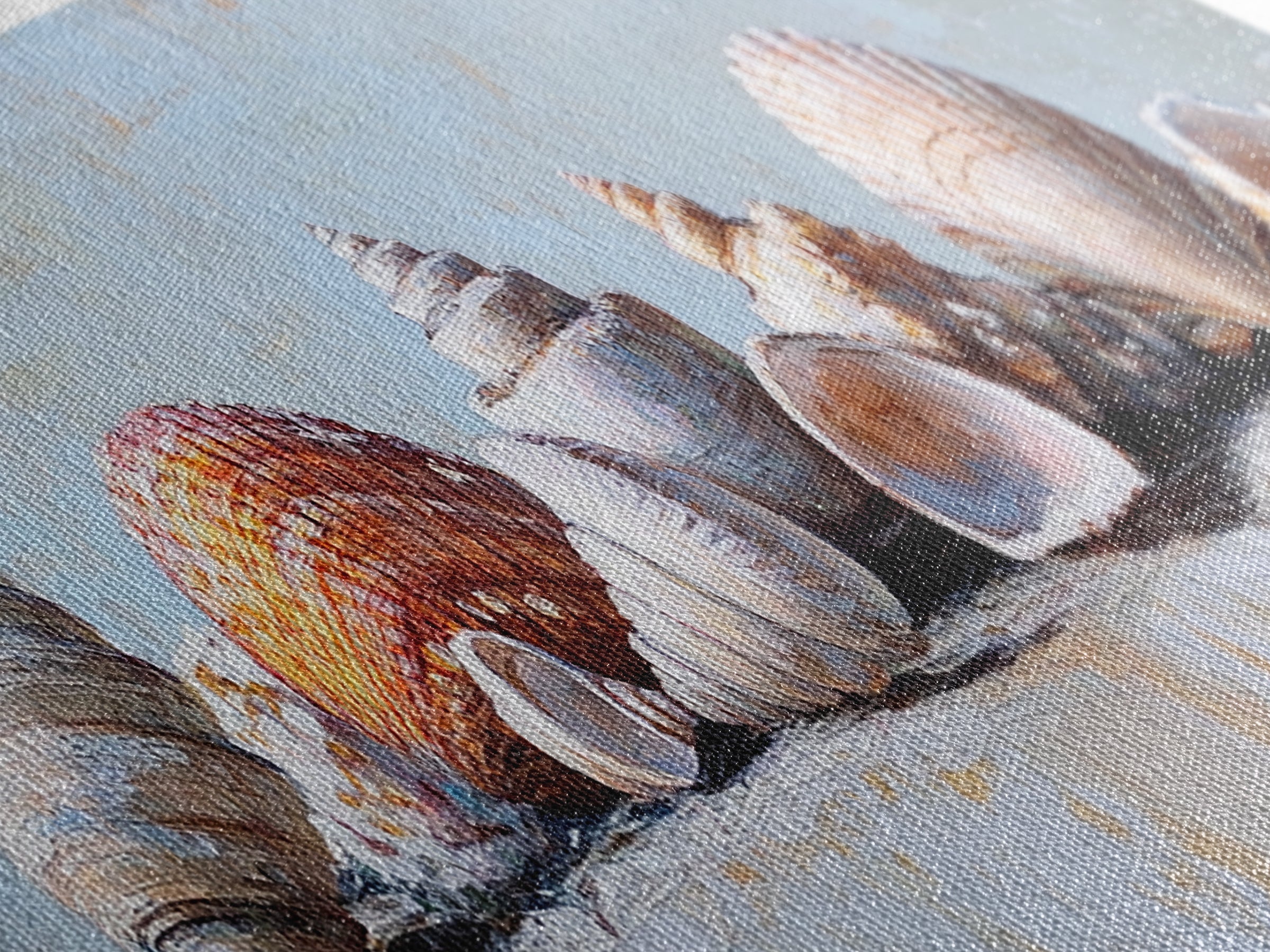 Coastal Seashell Collection Still Life Canvas Print, Beach Wall Art, Ocean Decor, Nautical Wall Decor, Beach House Gift Idea