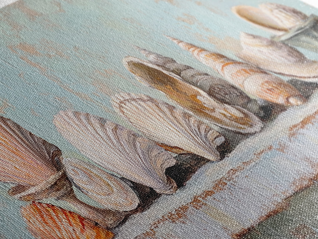 Pastel Seashell Shelf Still Life Framed Canvas Print, Coastal Wall Art, Beach House Decor, Nautical Bathroom Wall Decor, Ocean Print
