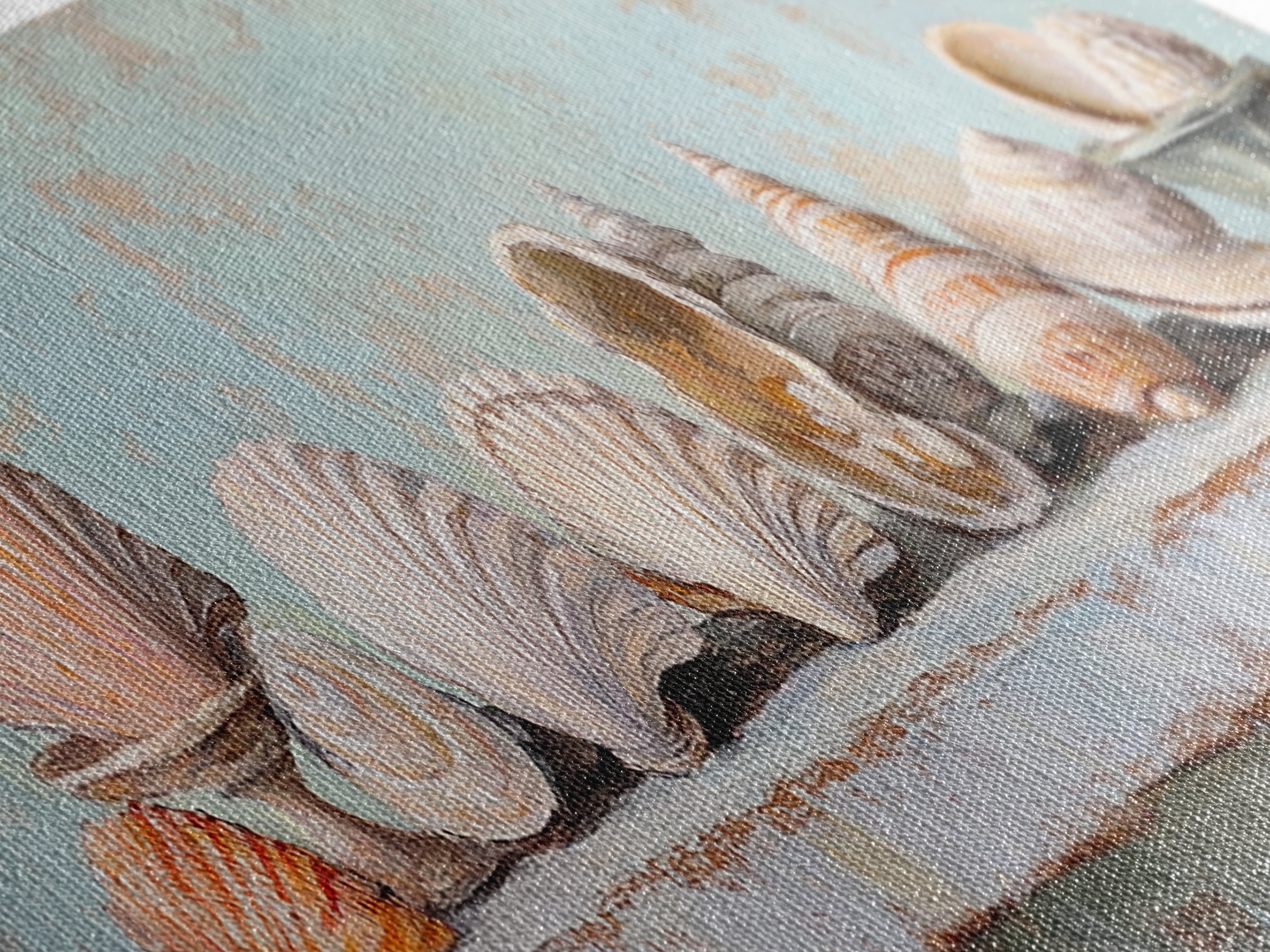 Pastel Seashell Shelf Still Life Framed Canvas Print, Coastal Wall Art, Beach House Decor, Nautical Bathroom Wall Decor, Ocean Print