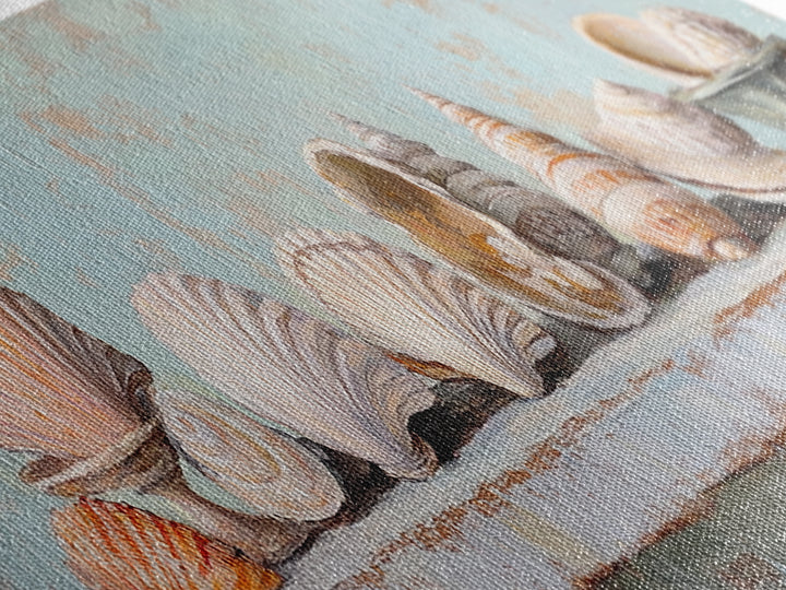 Pastel Seashell Shelf Still Life Framed Canvas Print, Coastal Wall Art, Beach House Decor, Nautical Bathroom Wall Decor, Ocean Print