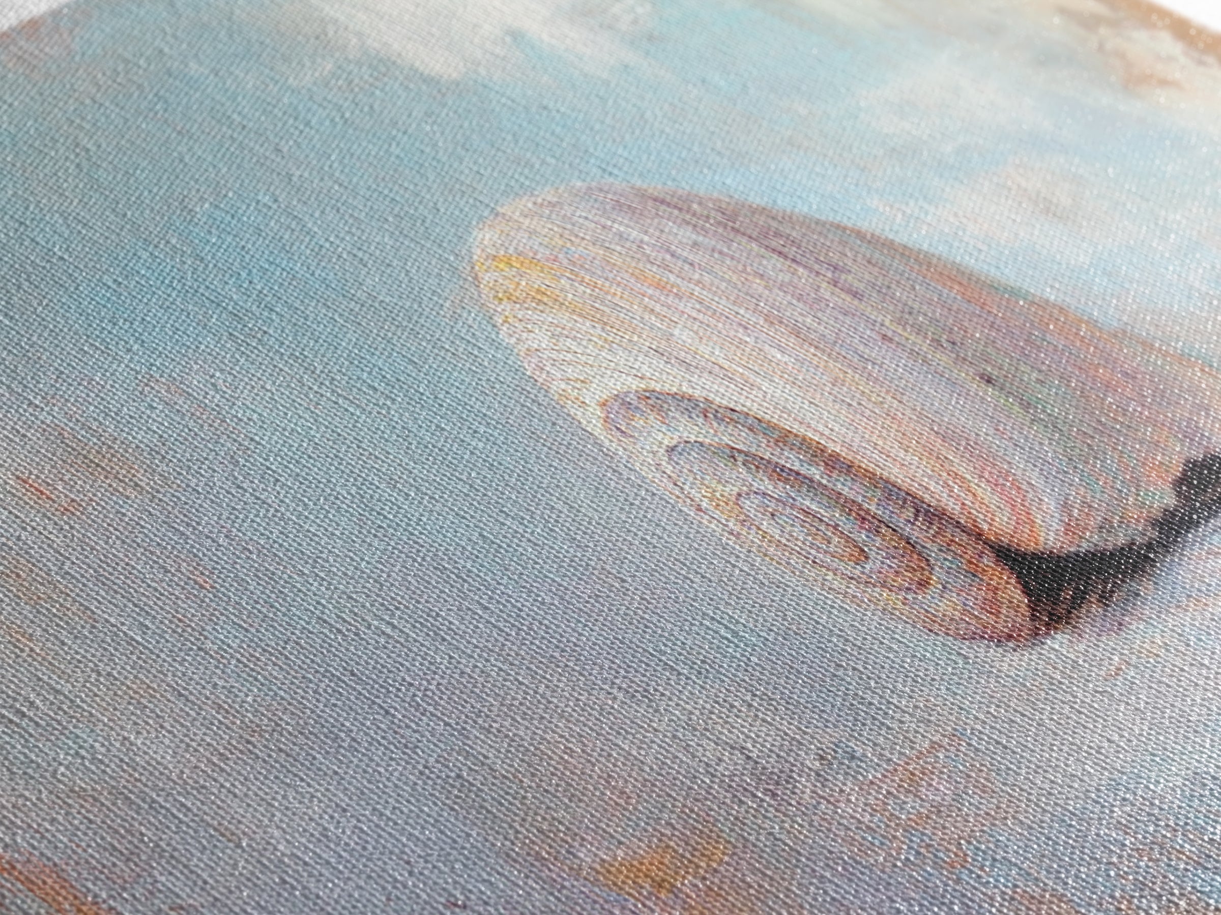 Pastel Seashell On Soft Blue Sand Canvas Print, Coastal Wall Art, Beach House Decor, Ocean Nursery Art, Seaside Gift For Her