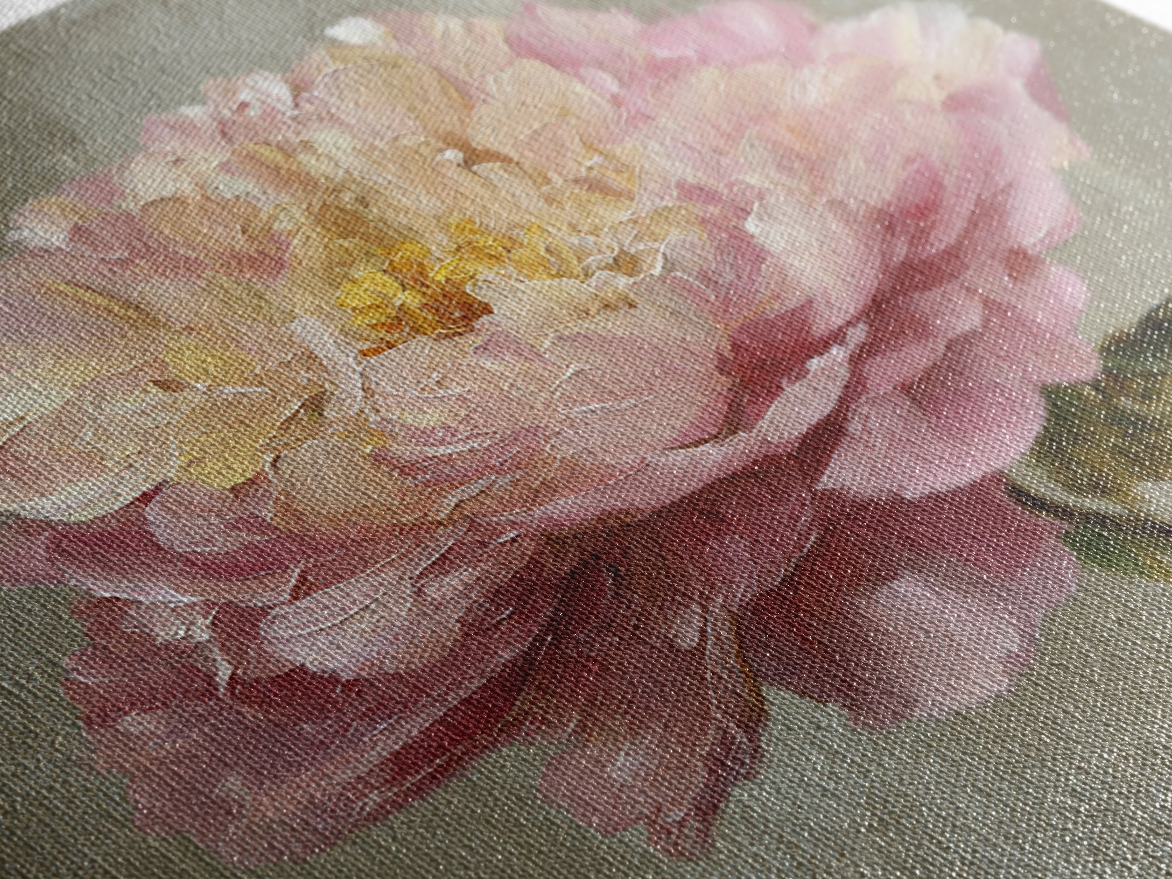 Romantic Oversized Peony Bloom on Warm Linen Canvas Print, Above Bed Art, Western Decor, Bedroom Decor, Abstract Art, Serenity, ABA-1x1-50