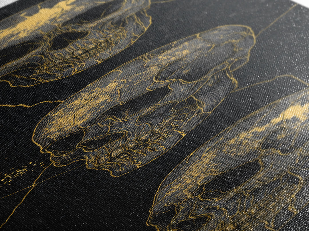 Three Gold Skulls On Black Canvas Print, Gothic Anatomy Wall Art, Dark Luxury Decor, Macabre Statement Gift For Him Home Decor