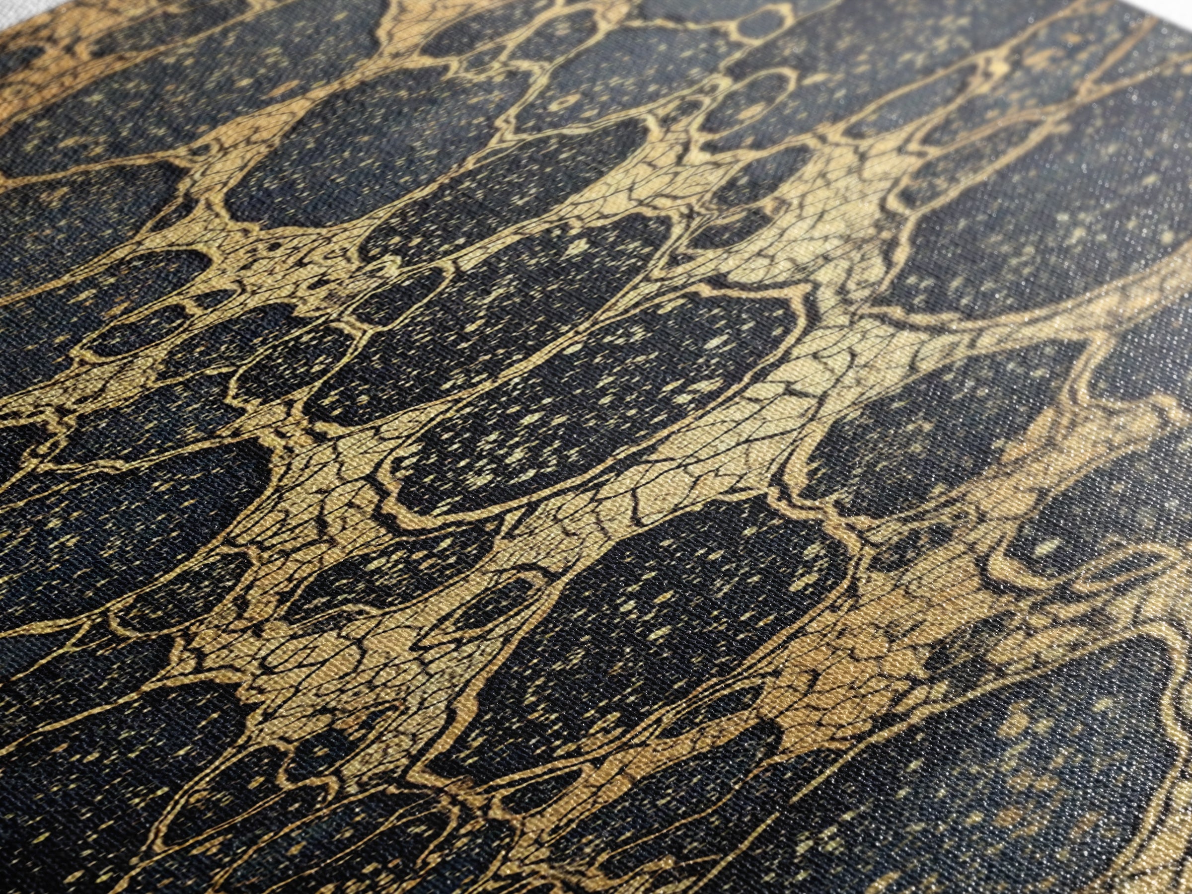Black Gold Cracked Stone Canvas Print, Abstract African Art Decor, Luxury Modern Wall Art, Earth Tone Statement Piece Gift