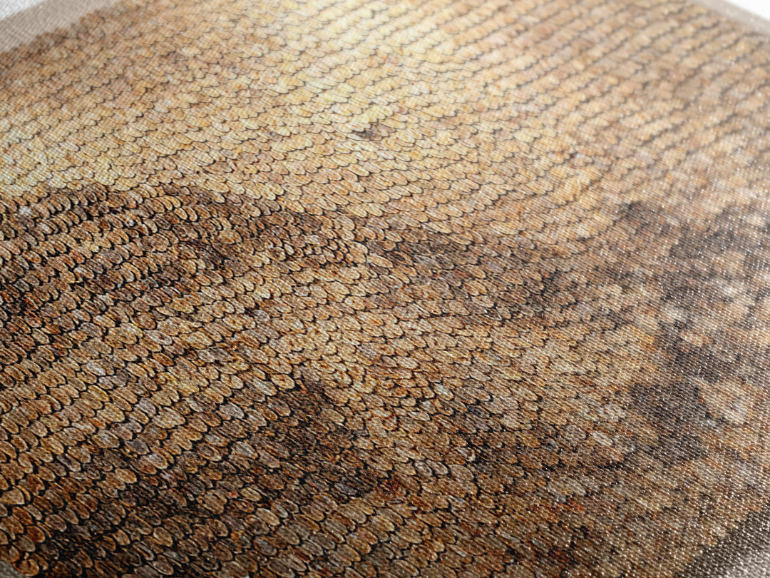 Cowrie Shell Mountain Wall Art, Textured African Landscape, Neutral Earth Tone Decor, Unique Home Decor, Boho Modern Canvas Print