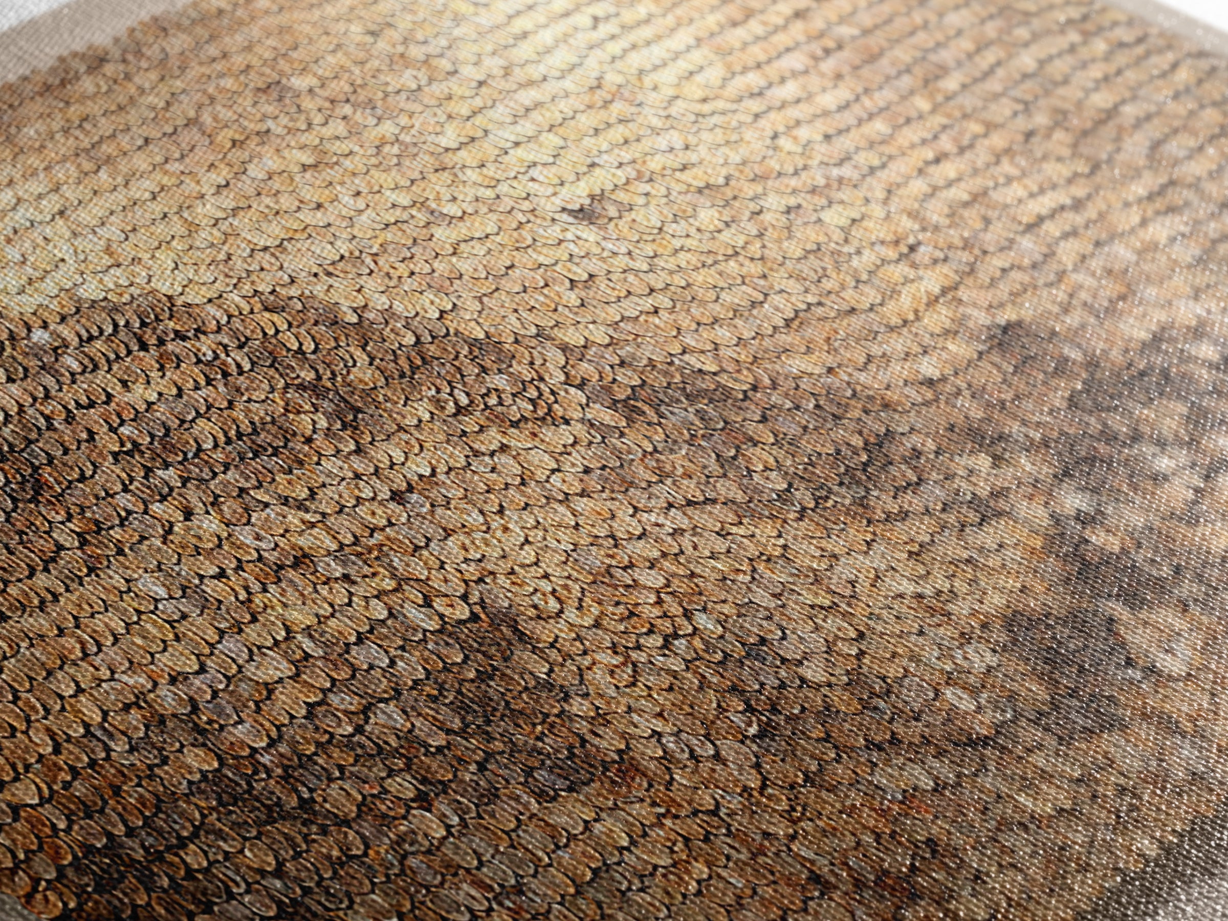Cowrie Shell Mountain Wall Art, Textured African Landscape, Neutral Earth Tone Decor, Unique Home Decor, Boho Modern Canvas Print