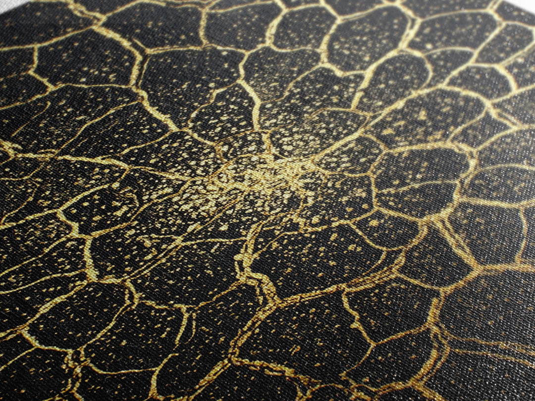 Black And Gold Cracked Floral Mandala Wall Art, Abstract Geometric Canvas, Luxury Home Decor, Statement Piece Gift For Living Room