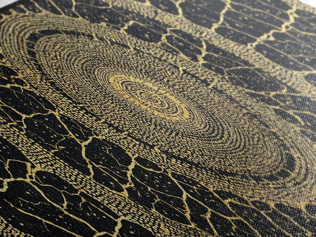 Black Gold Tribal Circle Canvas Print, African Abstract Pattern Wall Decor, Luxury Boho Textured Home Decor Gift For Living Room