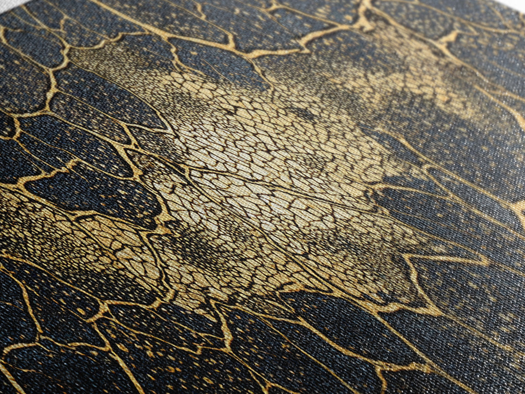 Black And Gold Cellular Cracked Abstract Wall Art, Luxury Canvas Print, Modern Organic Pattern, Bold Home Decor Statement Piece