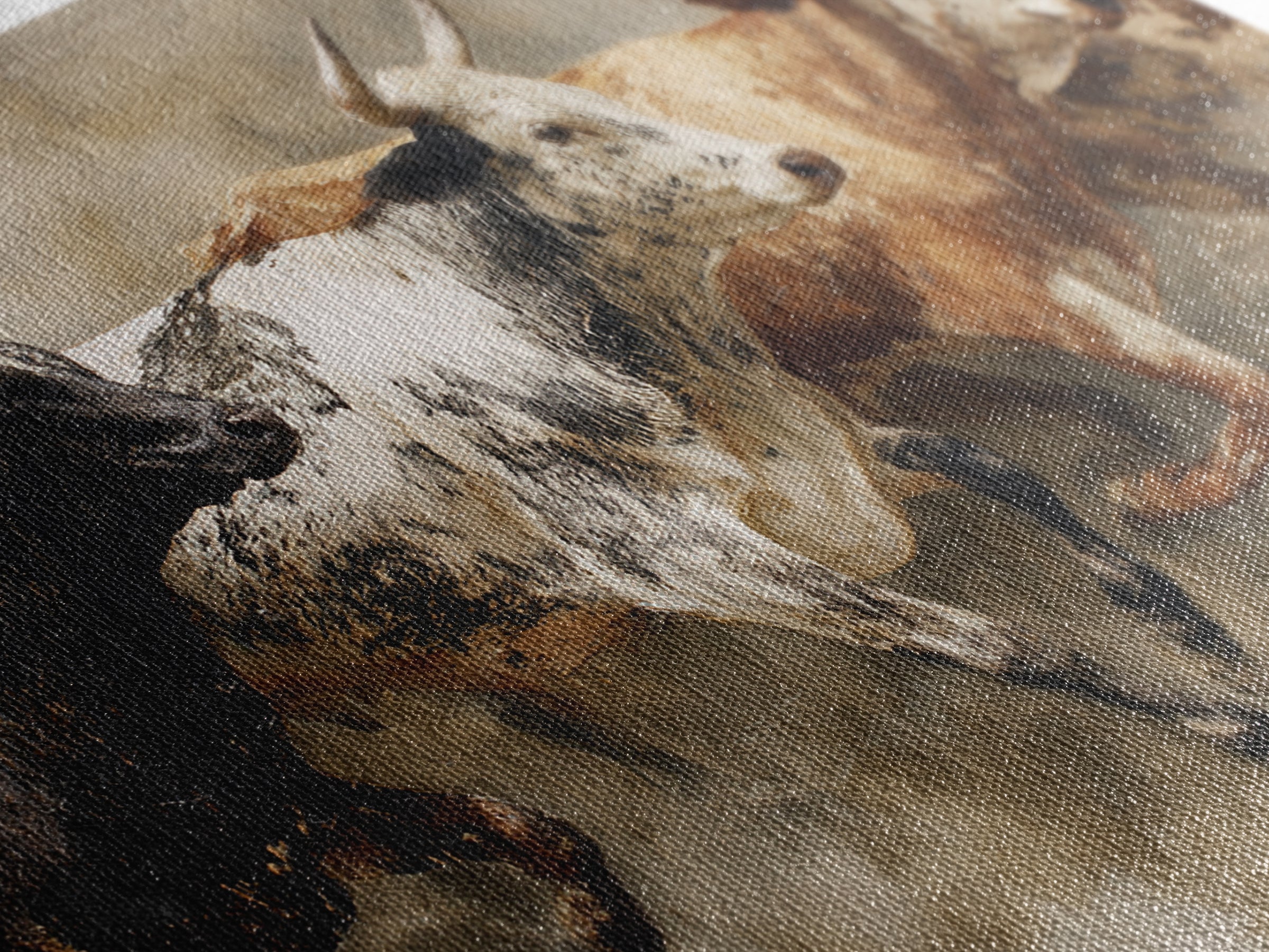 Three Longhorn Bulls In Motion Framed Canvas Print, African Safari Decor, Rustic Western Animal Wall Art For Living Room