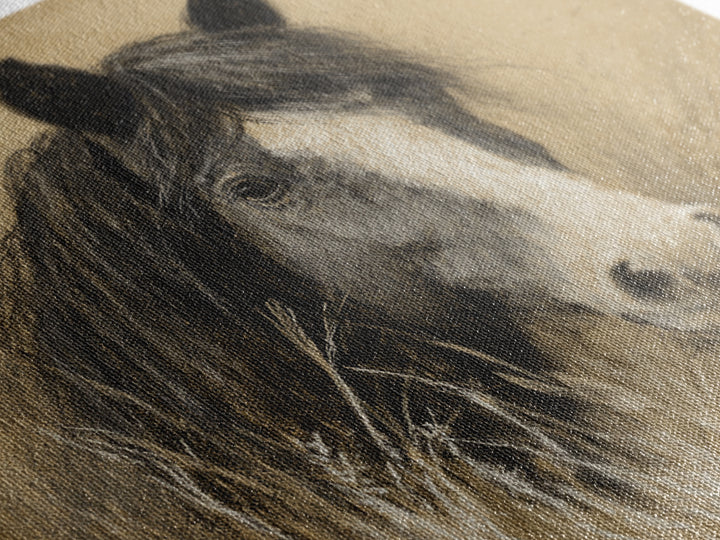 Majestic Horse Head Framed Canvas Print, Animal Art, Nursery Wall Art, Living Room Decor, Fine Art, Creature, Trendy Wall Art, ANI-1x1-27