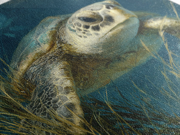 Sea Turtle Drifting Through Luminous Blue Water Canvas Print, Animal Art, Boho Wall Art, Living Room Decor, Creature, ANI-1x1-42