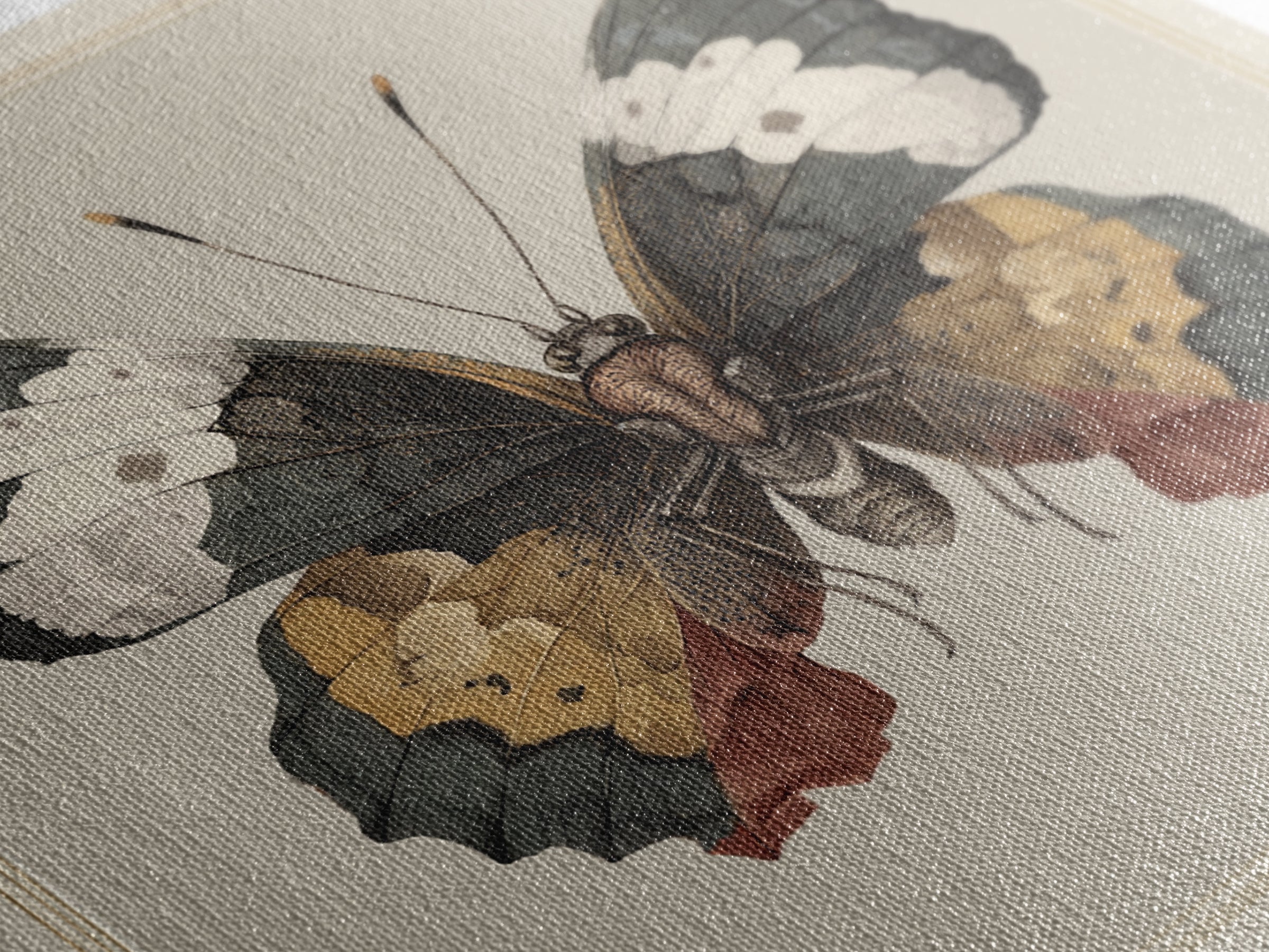 Butterfly Specimen Composition Framed Canvas Print, Animal Art, Original Art, Living Room Decor, Creature, Trendy Wall Art, ANI-1x1-47