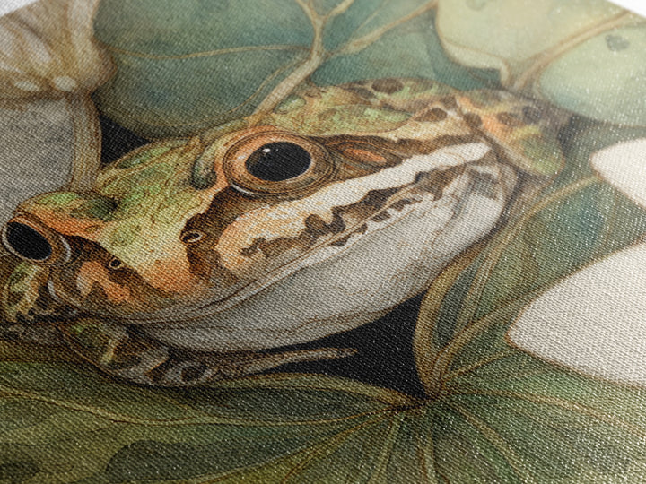 Frog on a Lotus Leaf Framed Canvas Print, Animal Art, Boho Wall Art, Living Room Decor, Oil Painting, Creature, ANI-1x1-68