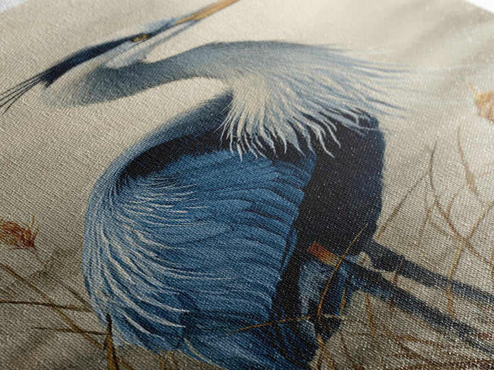 Blue Heron Standing Canvas Print, Animal Art, Wall Decor, Living Room Decor, Fine Art, Creature, Nursery Wall Art, ANI-1x3-23