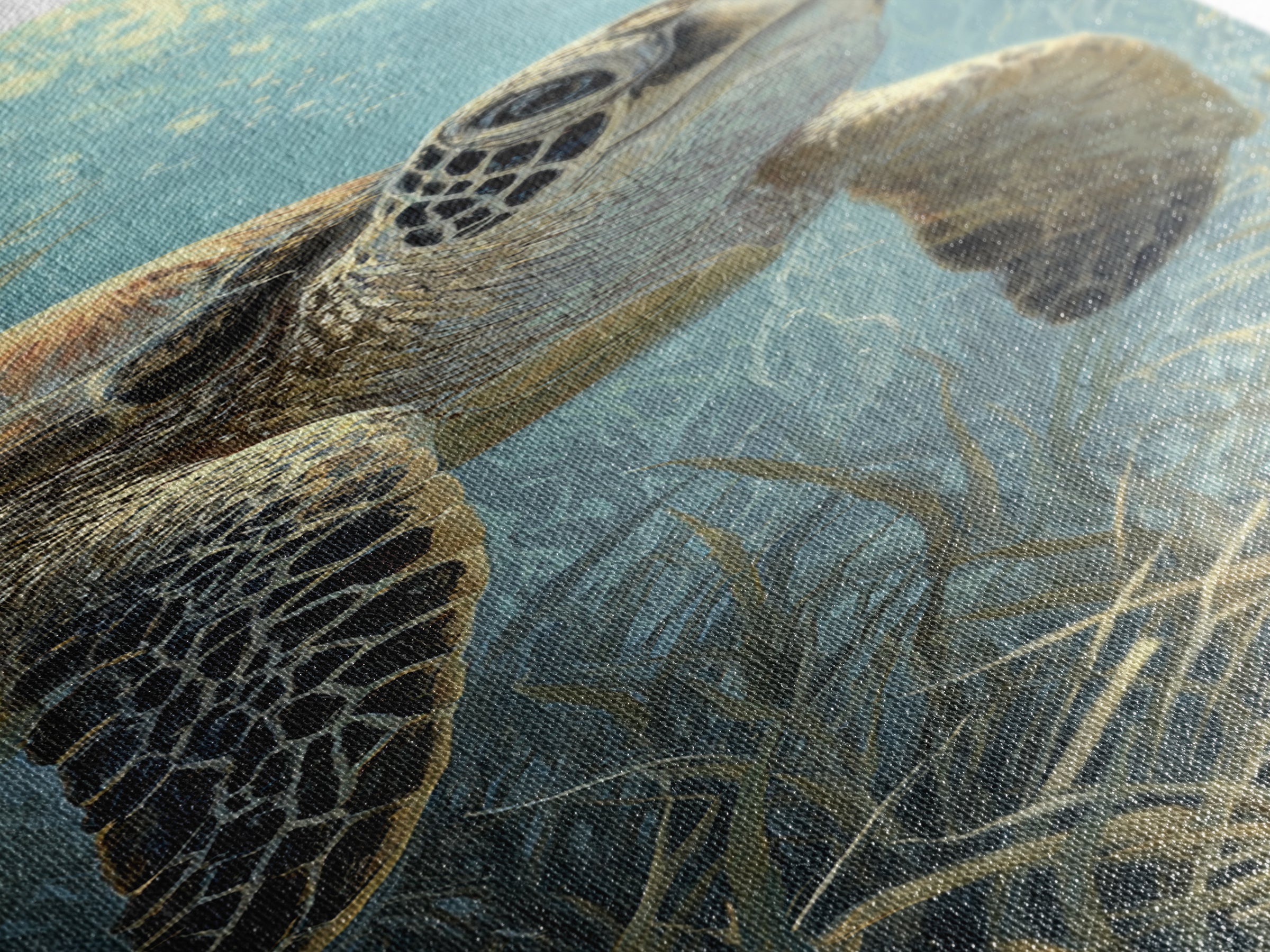 Sea Turtle Drifting Through Luminous Blue Water Canvas Print, Animal Art, Modern Wall Art, Living Room Decor, Creature, ANI-1x3-30