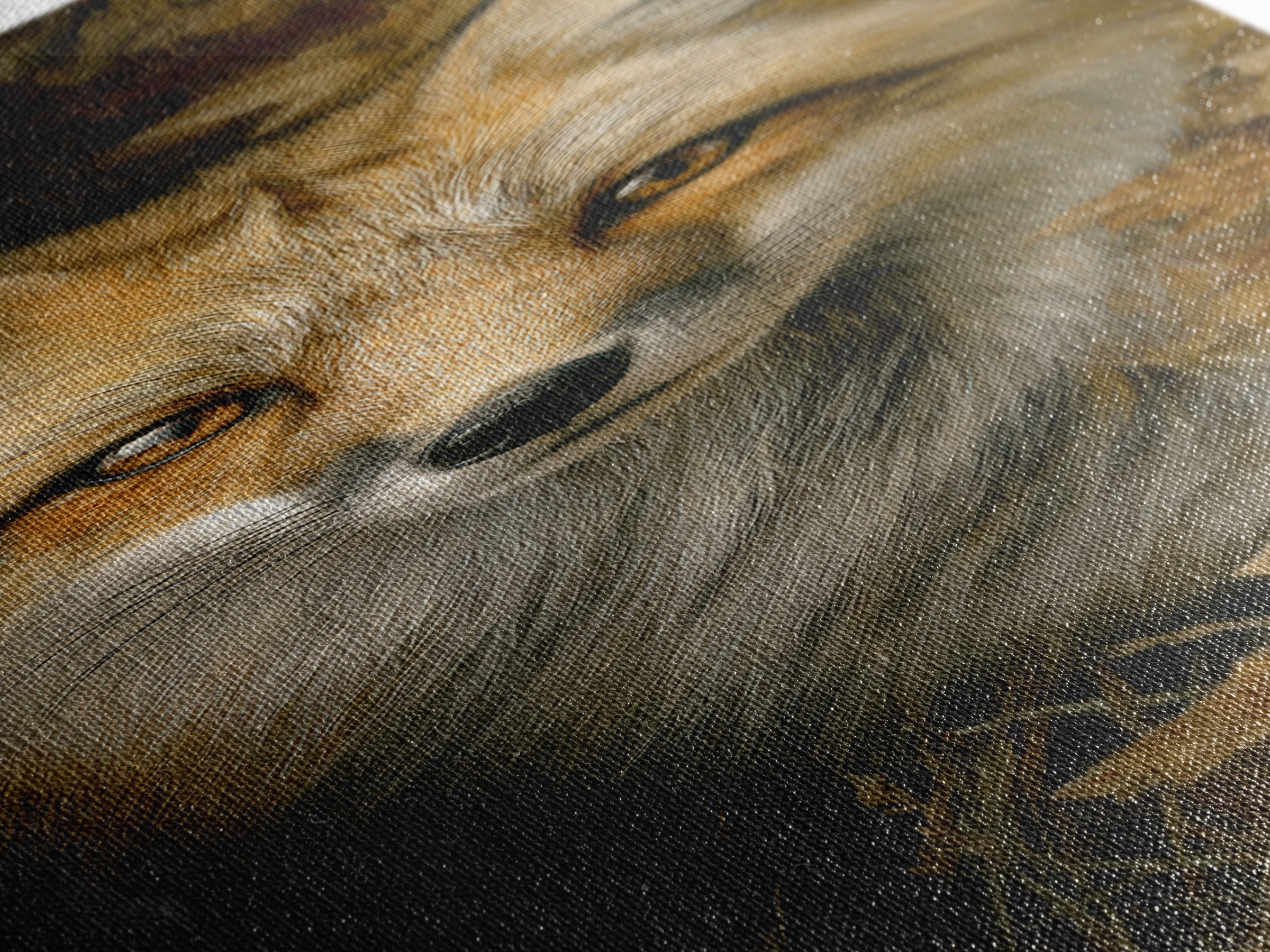 Dignified Fox Portrait Canvas Print, Animal Art, Statement Artwork, Living Room Decor, Fine Art, Creature, Wall Decor, ANI-1x3-37