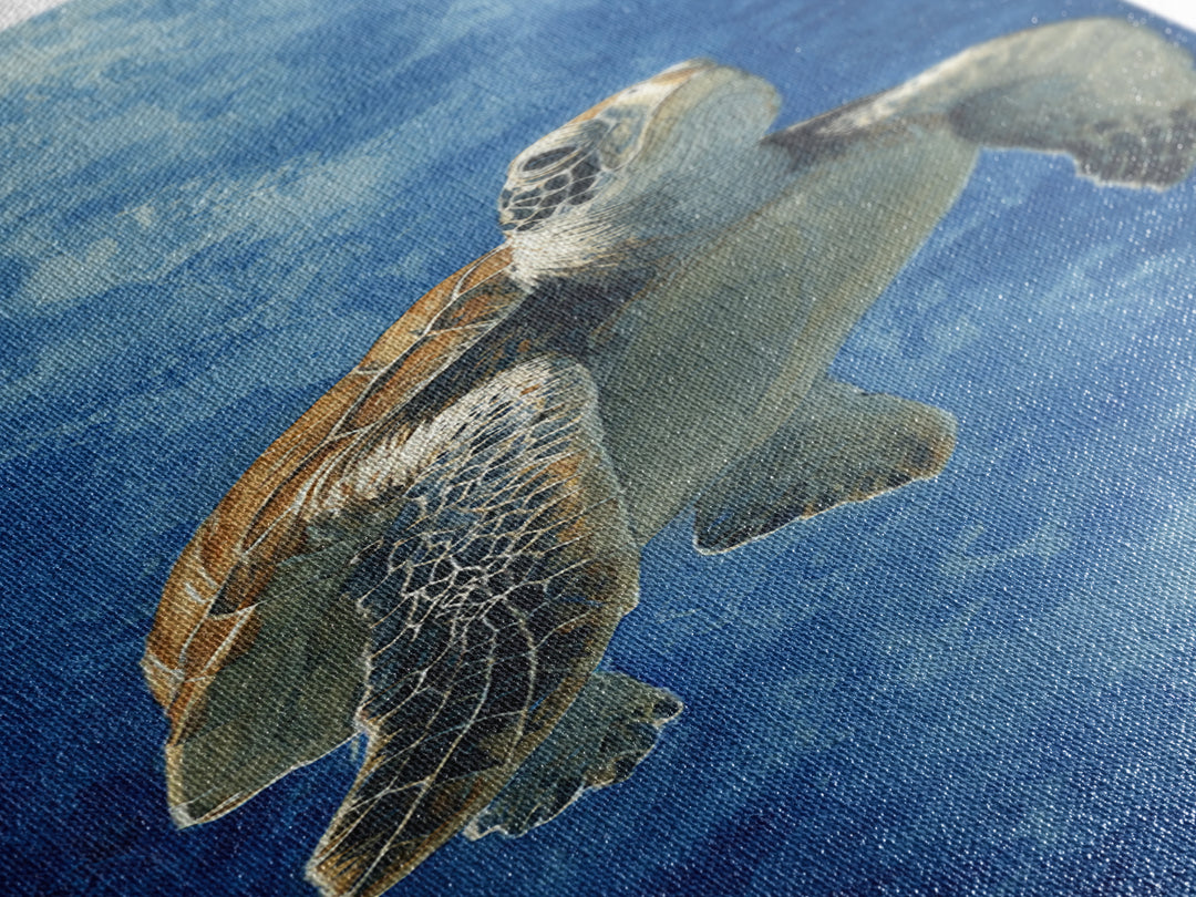Sea Turtle Drifting Through Luminous Blue Water Canvas Print, Animal Art, Modern Wall Art, Living Room Decor, Creature, ANI-1x3-54