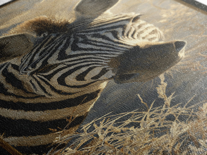 Zebra Portrait with Bold Graphic Stripe Pattern Canvas Print, Animal Art, Art Print, Living Room Decor, Fine Art, Creature, ANI-1x3-77