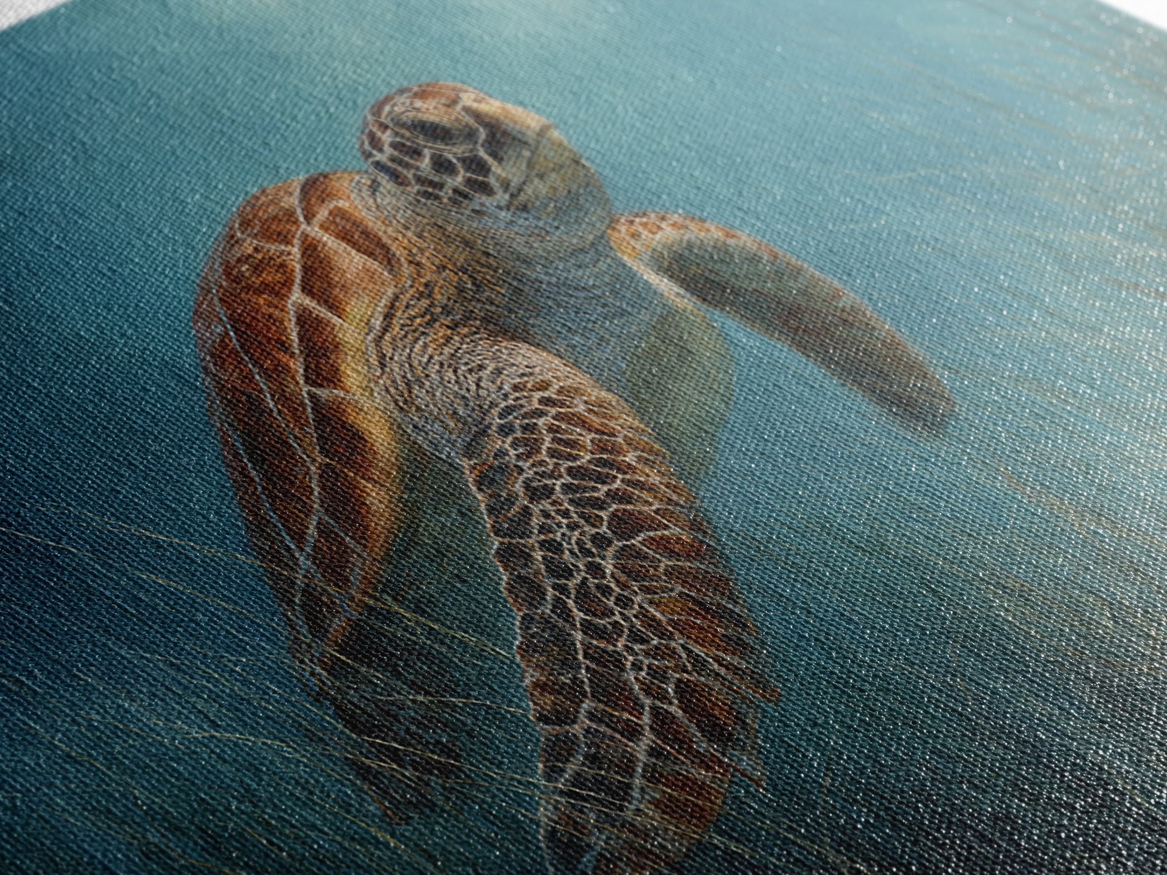 Sea Turtle Drifting Through Luminous Blue Water Canvas Print, Animal Art, Fine Art Print, Living Room Decor, Creature, ANI-2x1-14