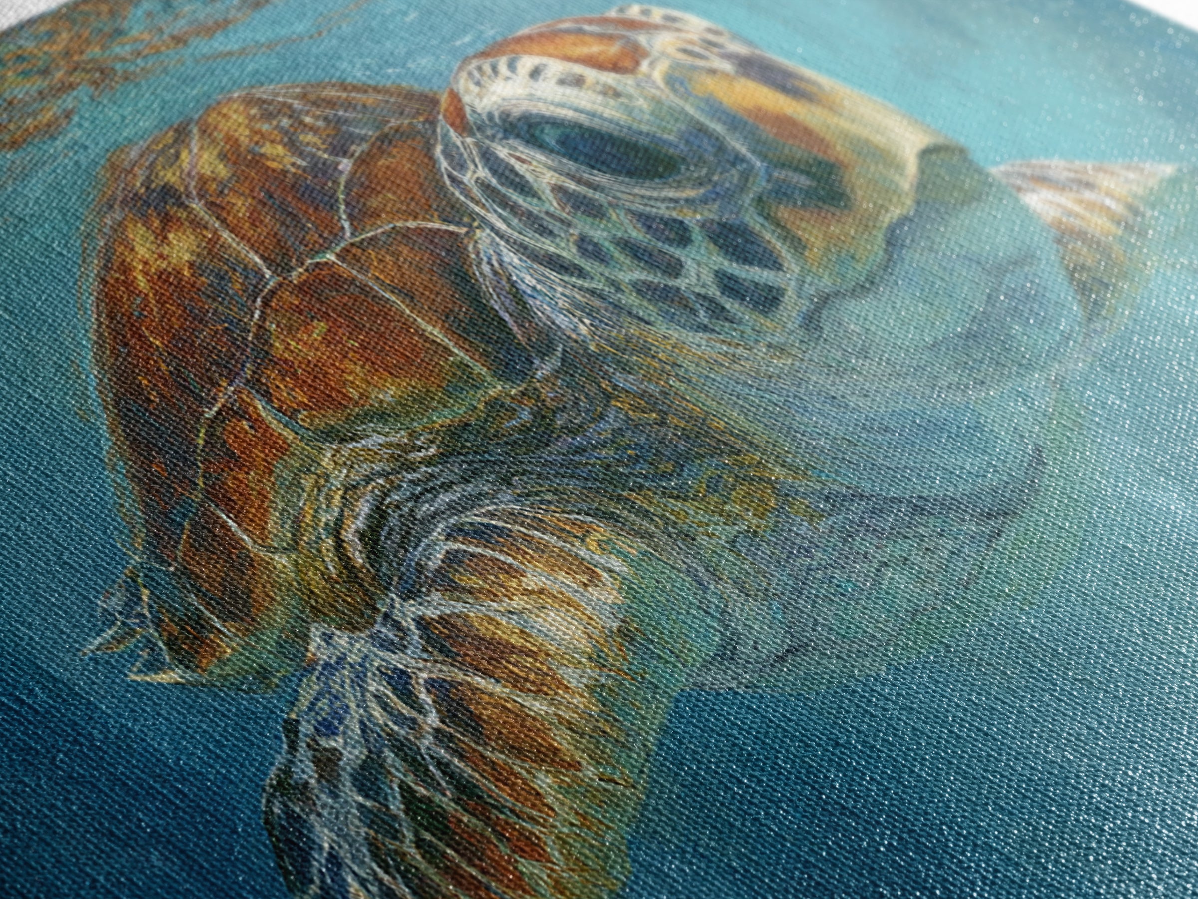 Sea Turtle Drifting Through Luminous Blue Water Canvas Print, Animal Art, Fine Art Print, Living Room Decor, Creature, ANI-2x1-38