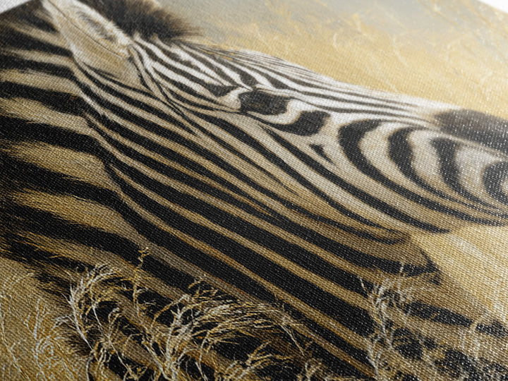 Zebra Portrait with Bold Graphic Stripe Pattern Canvas Print, Animal Art, Decor, Living Room Decor, Fine Art, Creature, ANI-2x1-61