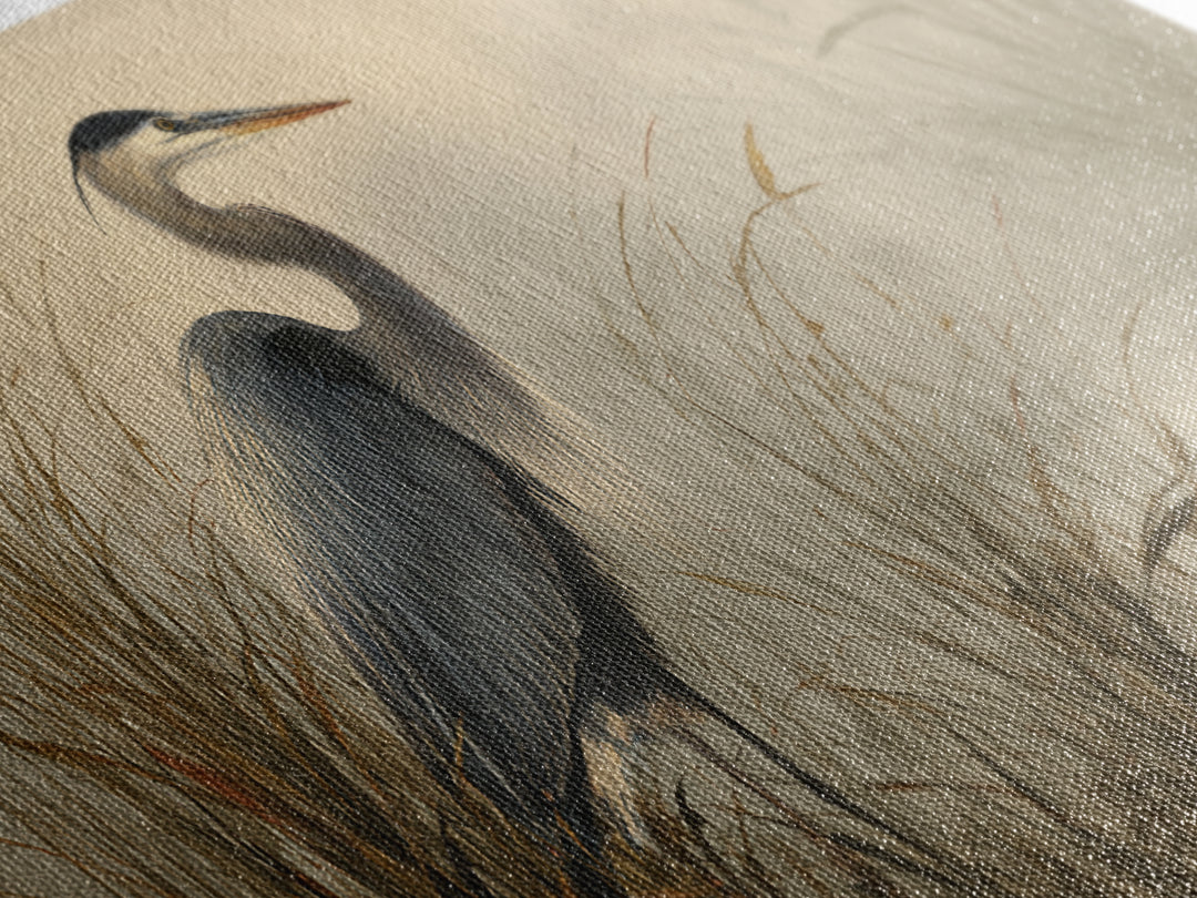 Blue Heron Standing Framed Canvas Print, Animal Art, Nursery Art, Living Room Decor, Fine Art, Creature, Luxury Decor, ANI-2x1-79