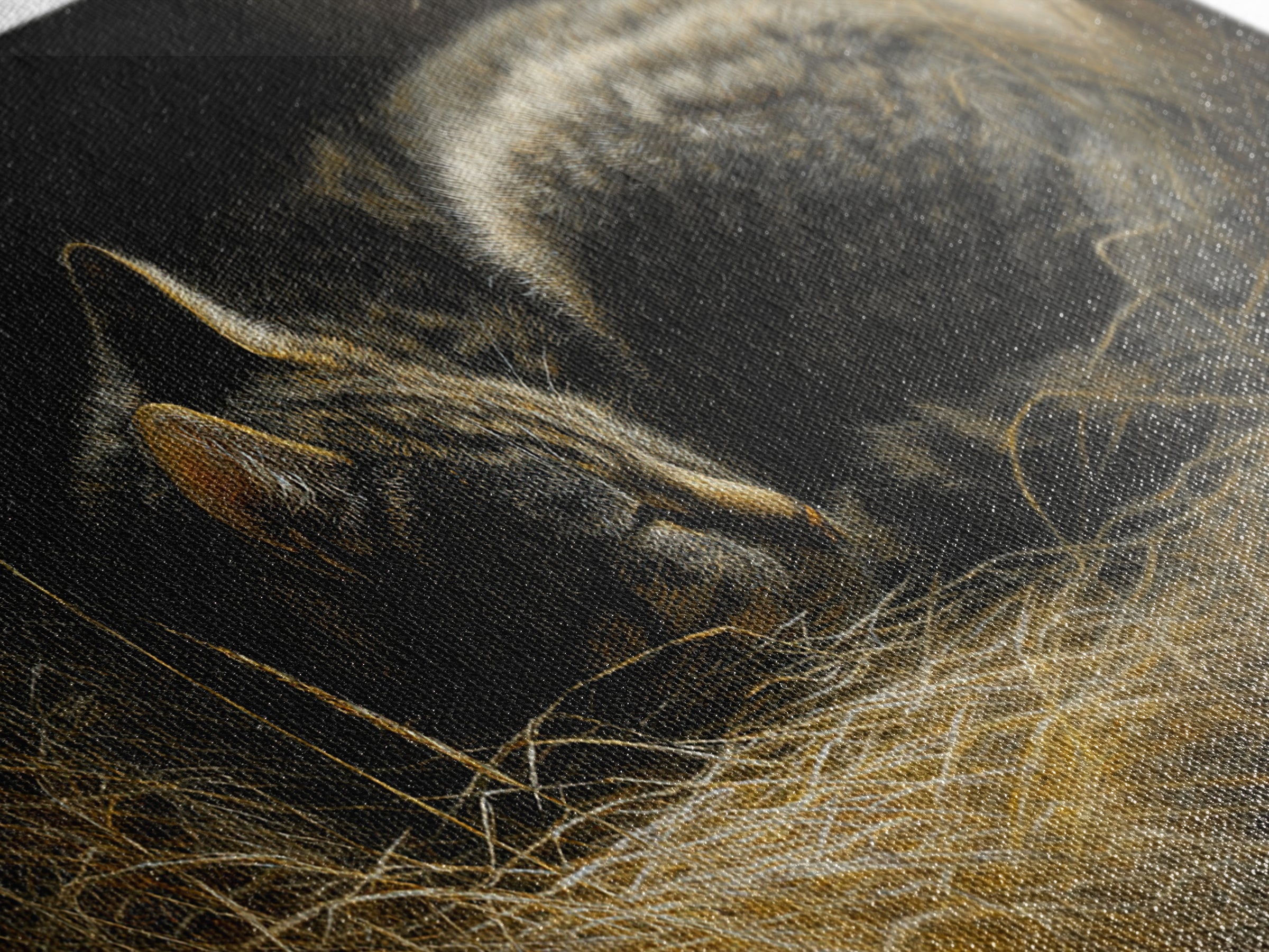 Sleeping Cat Curled Framed Canvas Print, Animal Art, Digital Print, Living Room Decor, Fine Art, Creature, Colorful Wall Art, ANI-2x1-80