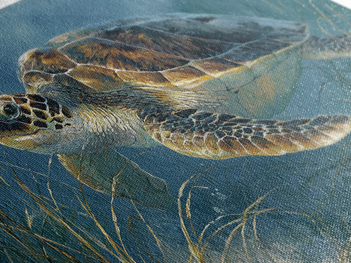Sea Turtle Drifting Through Luminous Blue Water Framed Canvas Print, Animal Art, Home Decor, Living Room Decor, Creature, ANI-2x1-86