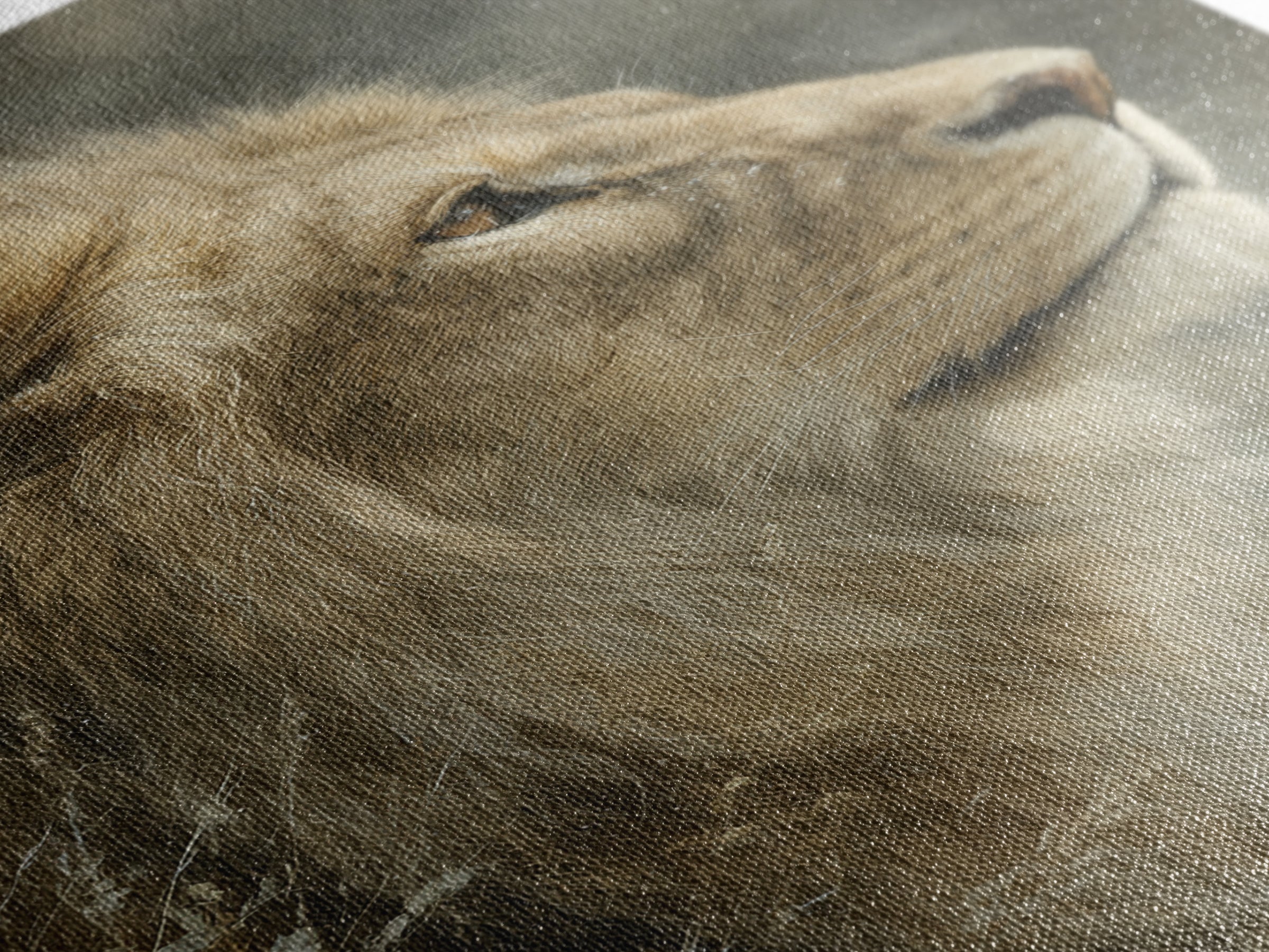 Regal Lion Profile Framed Canvas Print, Animal Art, Decor, Living Room Decor, Abstract Art, Creature, Printable Art, ANI-2x3-17