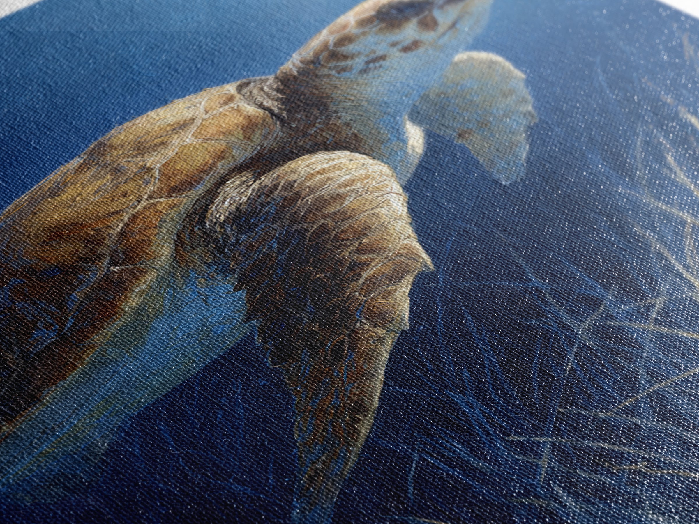 Sea Turtle Drifting Through Luminous Blue Water Framed Canvas Print, Animal Art, Boho Decor, Living Room Decor, Abstract Art, ANI-2x3-2