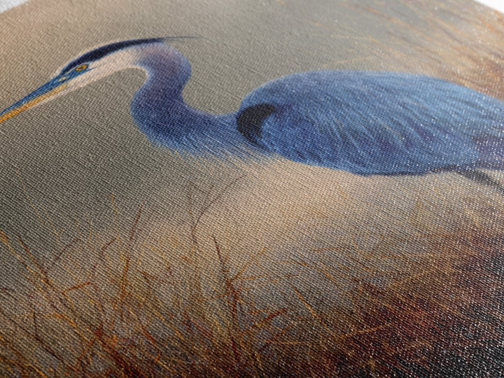 Blue Heron Standing Framed Canvas Print, Animal Art, Contemporary Art, Living Room Decor, Fine Art, Creature, Digital Wall Art, ANI-2x3-43