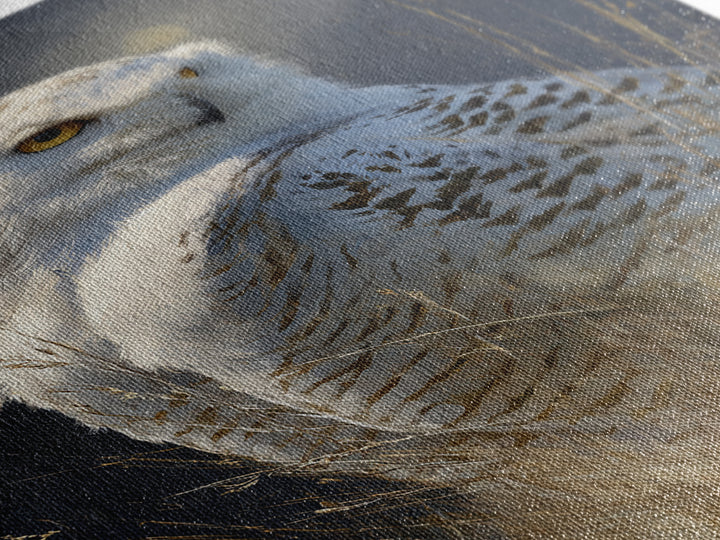 Owl with Moonlit Feathers and Celestial Accents Canvas Print, Animal Art, Print, Living Room Decor, Fine Art, Creature, ANI-2x3-71