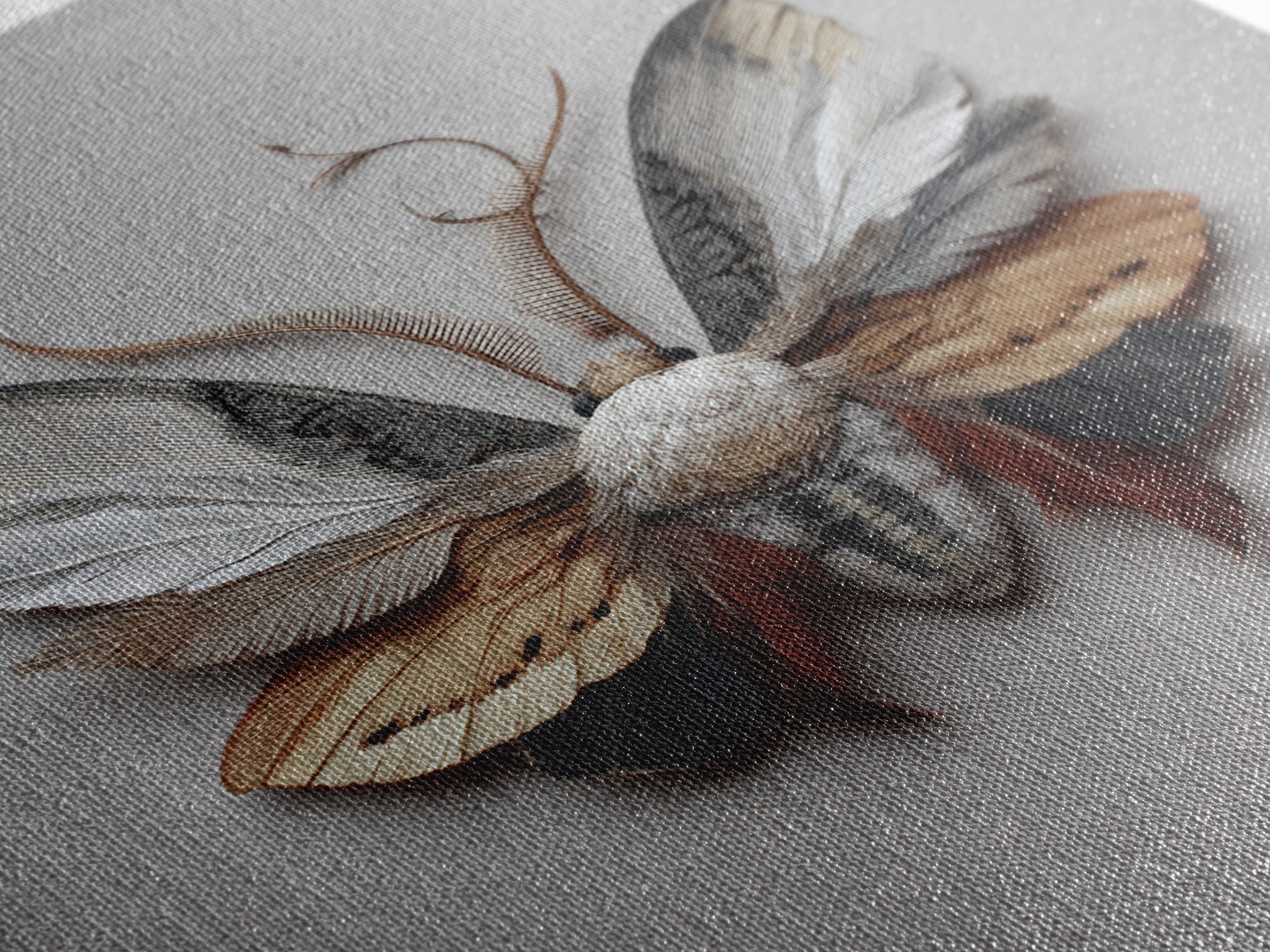 Butterfly Specimen Composition Canvas Print, Animal Art, Art, Living Room Decor, Creature, Original Art, Nursery Wall Art, ANI-2x3-79