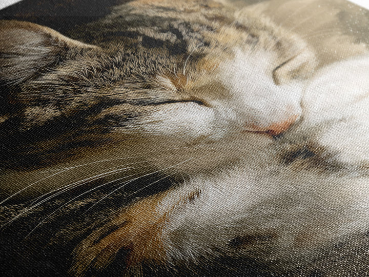 Sleeping Cat Curled Framed Canvas Print, Animal Art, Gallery Decor, Living Room Decor, Abstract Art, Creature, Contemporary Art, ANI-2x3-92