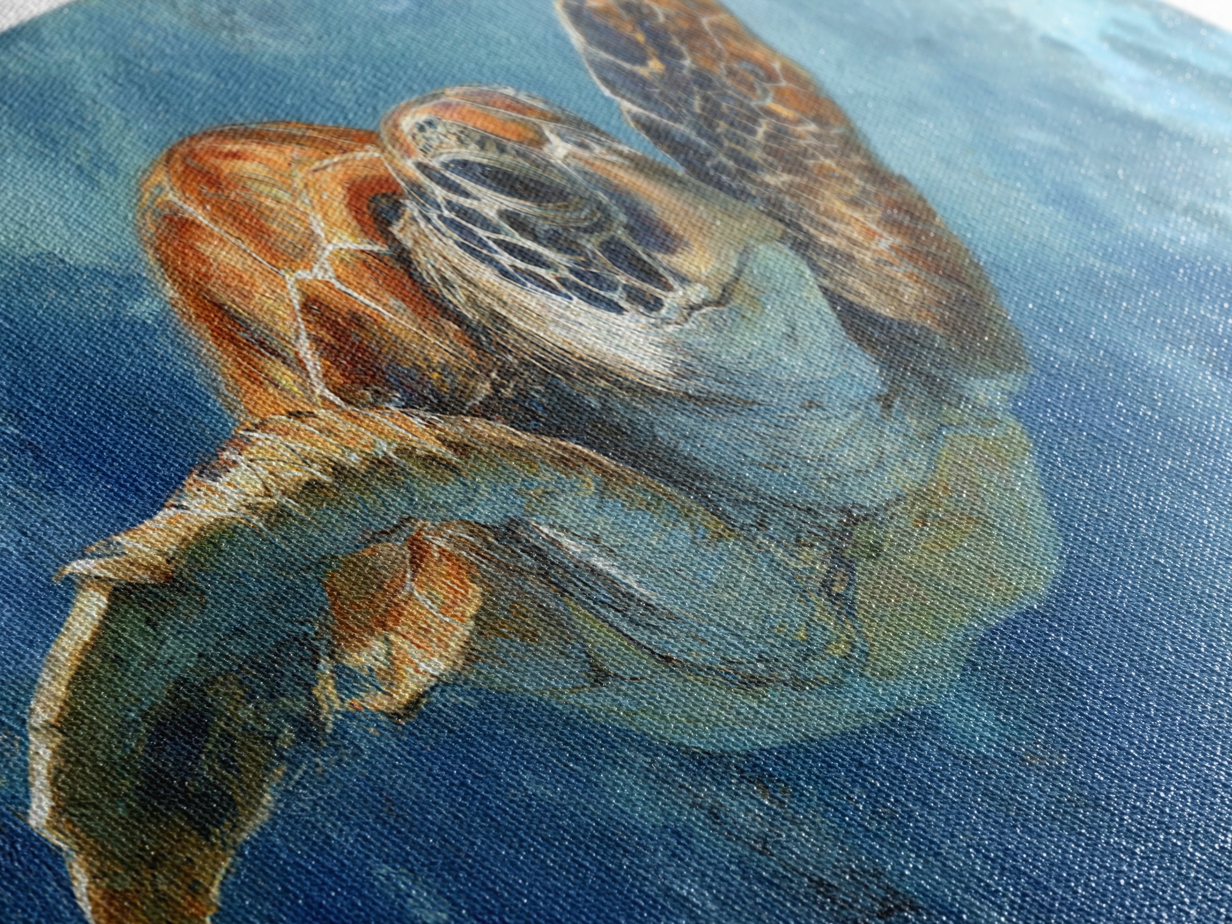 Sea Turtle Drifting Through Luminous Blue Water Framed Canvas Print, Animal Art, Nursery Decor, Living Room Decor, Creature, ANI-3x1-82