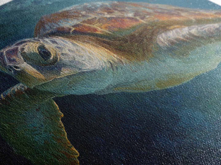 Sea Turtle Drifting Through Luminous Blue Water Canvas Print, Animal Art, Living Room Decor, Oil Painting, Creature, ANI-3x2-22