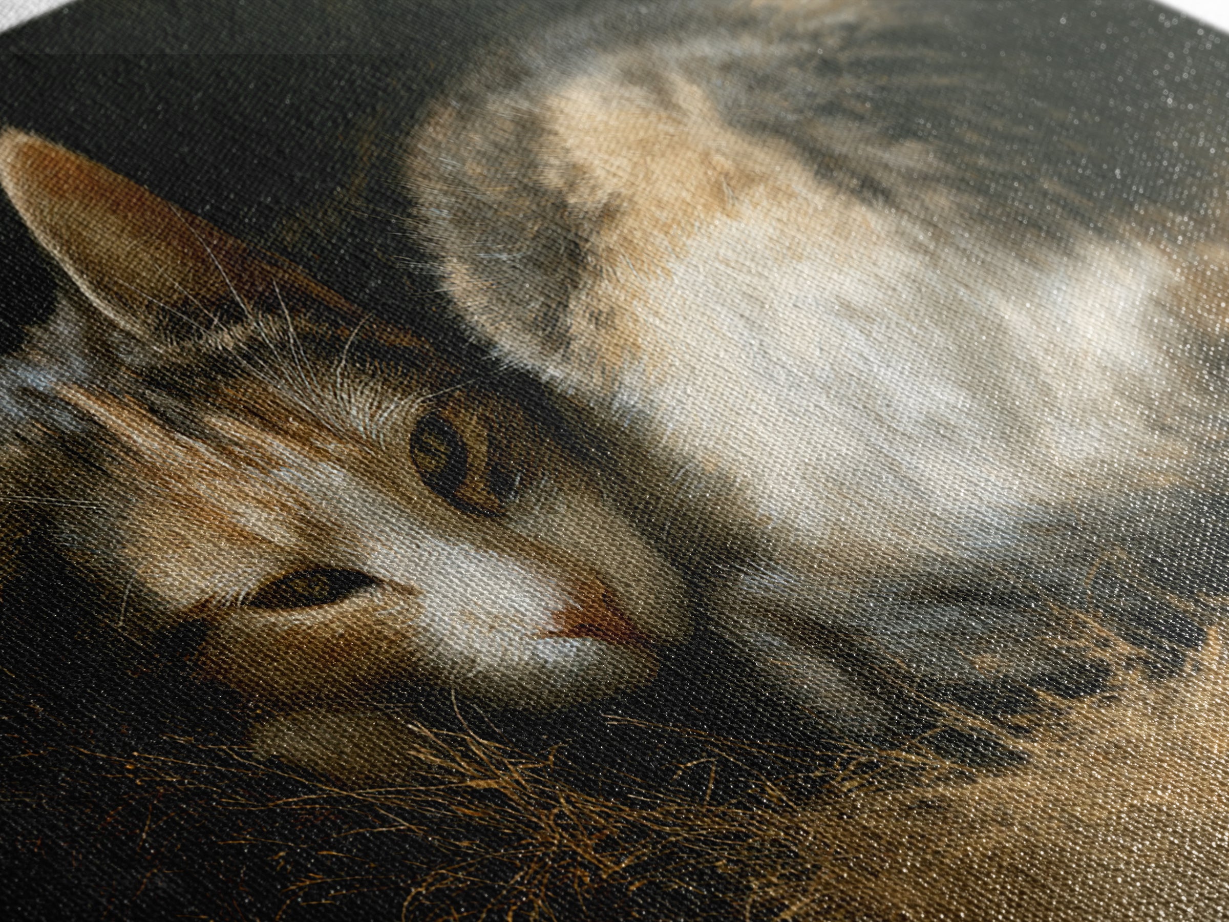 Sleeping Cat Curled Framed Canvas Print, Animal Art, Farmhouse Decor, Living Room Decor, Oil Painting, Creature, Neutral Decor, ANI-3x2-40