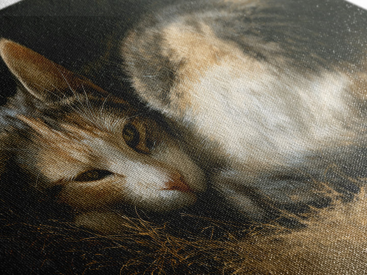 Sleeping Cat Curled Framed Canvas Print, Animal Art, Farmhouse Decor, Living Room Decor, Oil Painting, Creature, Neutral Decor, ANI-3x2-40
