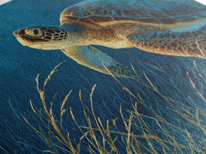 Sea Turtle Drifting Through Luminous Blue Water Framed Canvas Print, Animal Art, Original Art, Living Room Decor, Creature, ANI-3x2-46