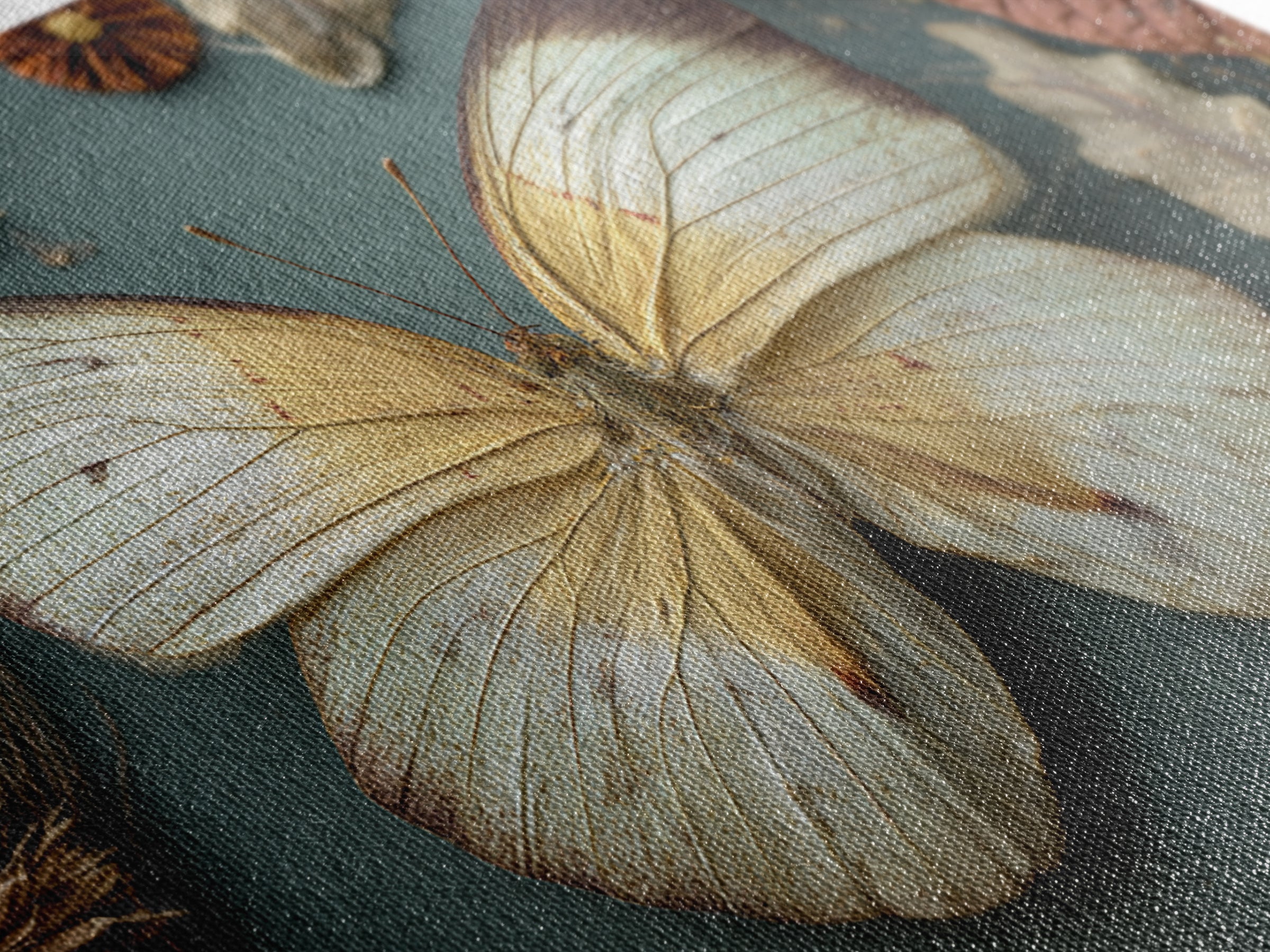 Butterfly Specimen Composition Canvas Print, Animal Art, Nursery Art, Living Room Decor, Fine Art, Creature, Luxury Decor, ANI-3x2-51