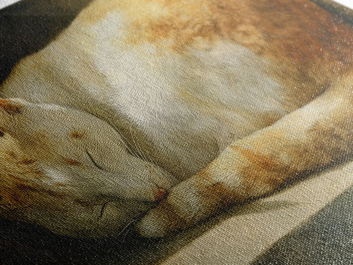 Sleeping Cat Curled Framed Canvas Print, Animal Art, Gallery Decor, Living Room Decor, Abstract Art, Creature, Contemporary Art, ANI-3x2-64
