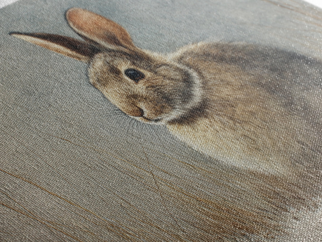 Curious Rabbit in a Soft Watercolor Meadow Framed Canvas Print, Animal Art, Cat Art, Living Room Decor, Fine Art, Creature, ANI-3x2-81