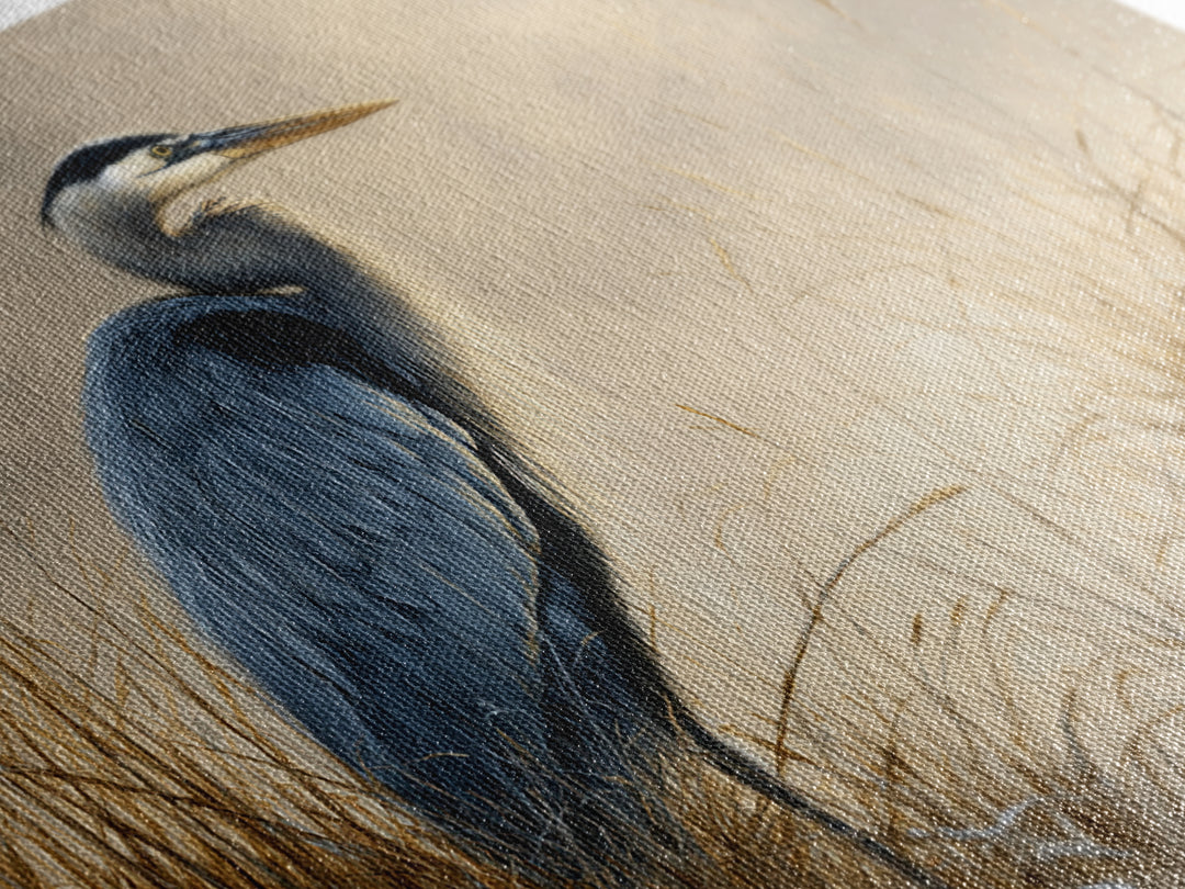 Blue Heron Standing Framed Canvas Print, Animal Art, Fine Art Print, Living Room Decor, Fine Art, Creature, Wall Decor, ANI-3x2-87