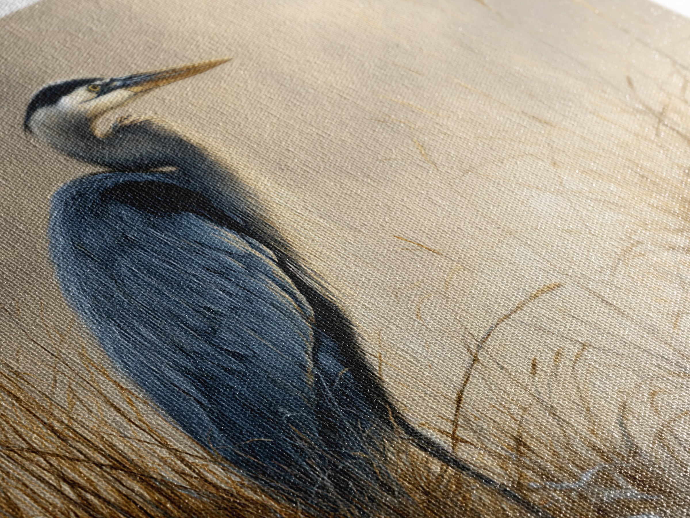 Blue Heron Standing Framed Canvas Print, Animal Art, Fine Art Print, Living Room Decor, Fine Art, Creature, Wall Decor, ANI-3x2-87