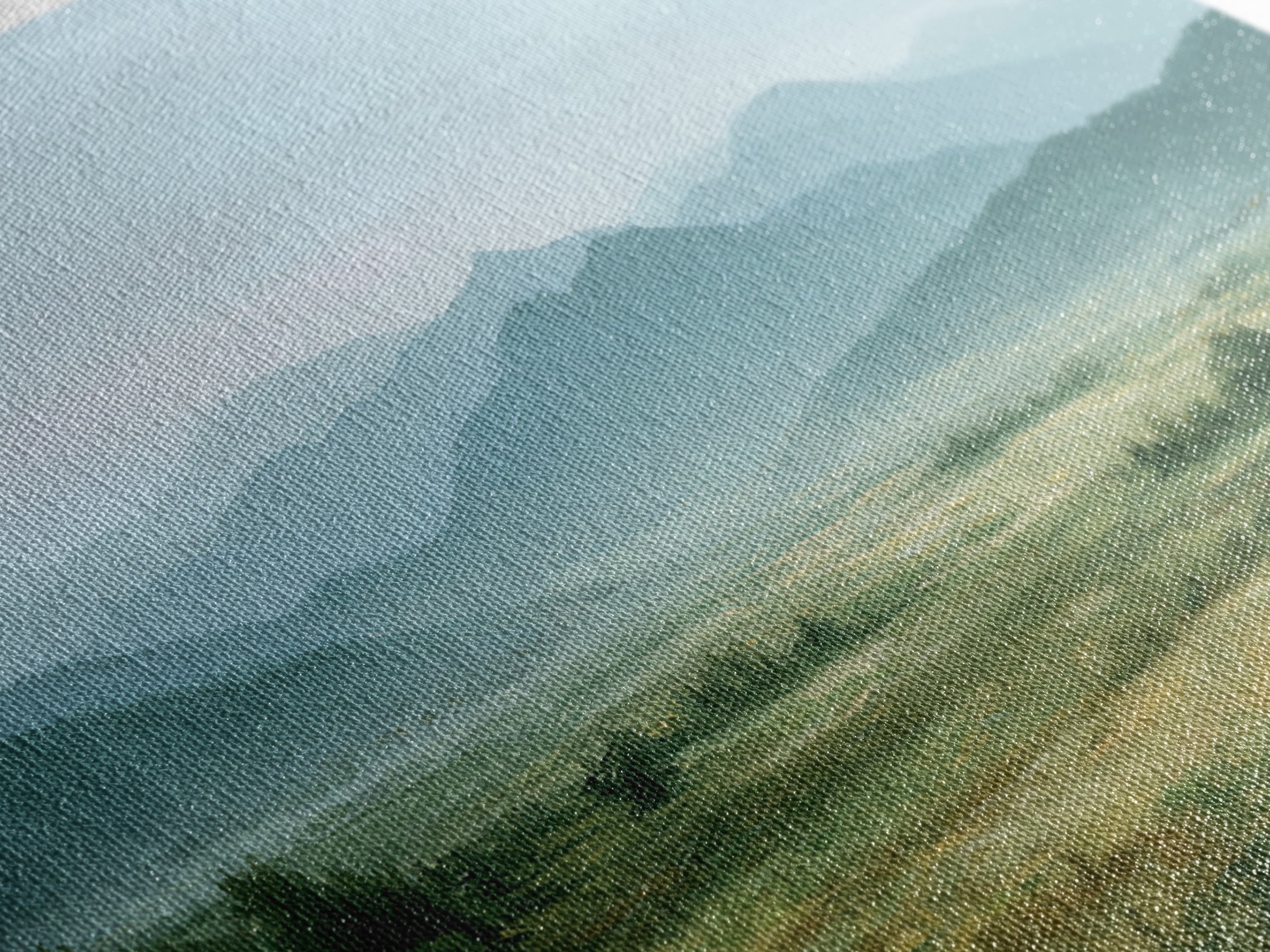 Wide Olive and Beige Meadow Panorama Canvas Print, Above Sofa Art, Art Print, Living Room Decor, Fine Art, Statement, ASA-2x1-78