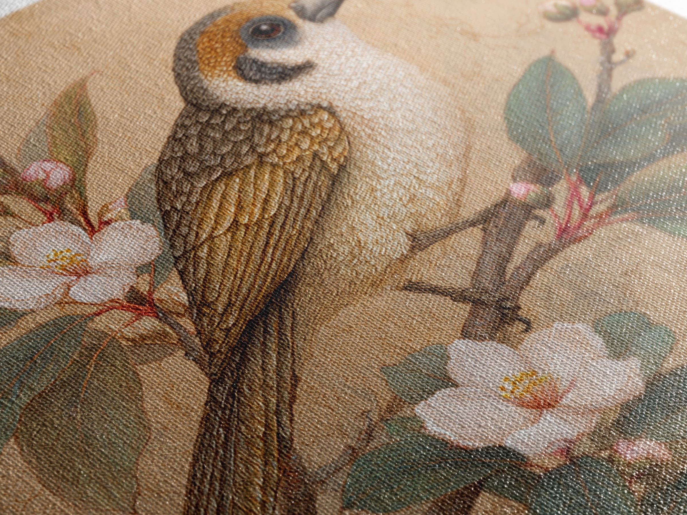 Small Bird on a Flowering Branch Framed Canvas Print, Bed and Breakfast Art, Gallery Decor, Living Room Decor, Fine Art, BAB-1x1-38