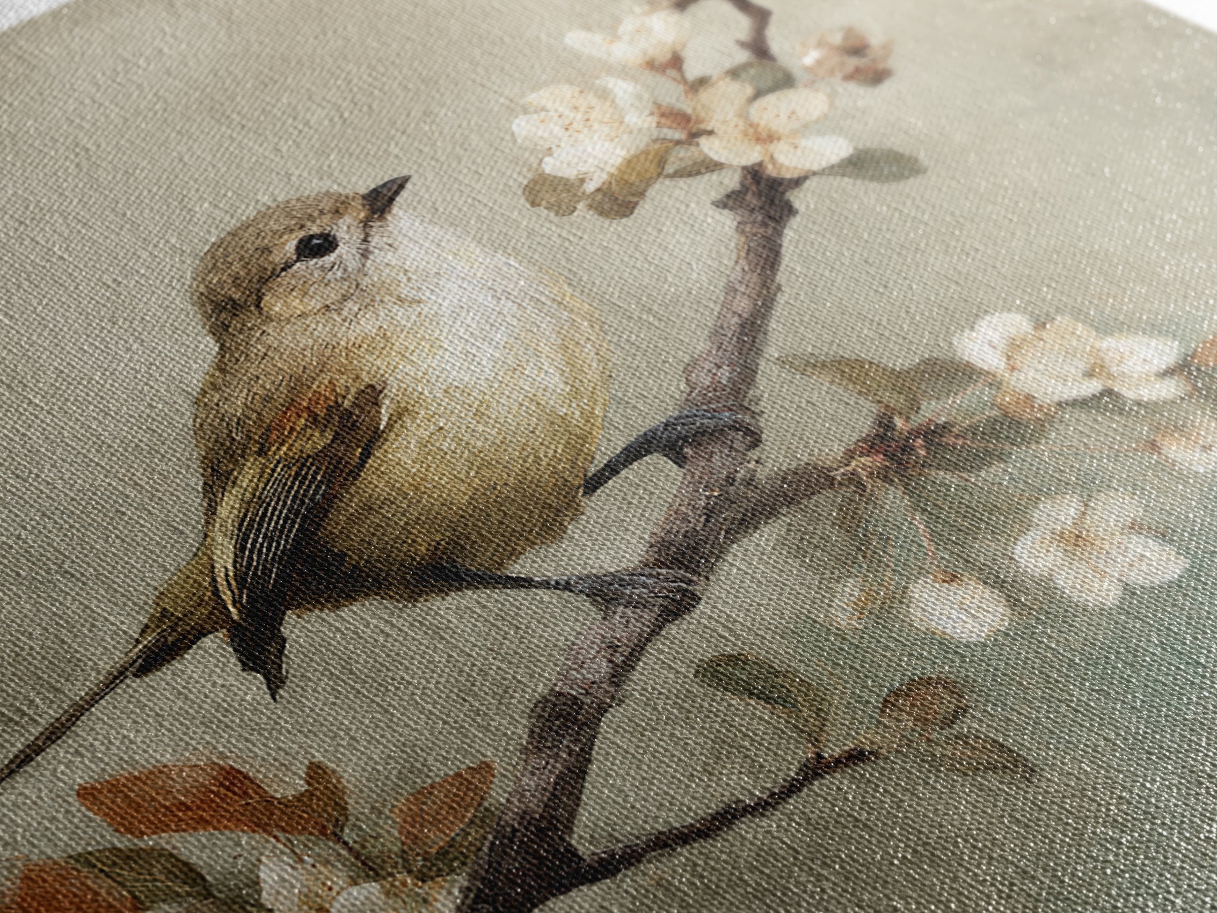 Small Bird on a Flowering Branch Framed Canvas Print, Bed and Breakfast Art, Gallery Decor, Living Room Decor, Fine Art, BAB-1x1-62