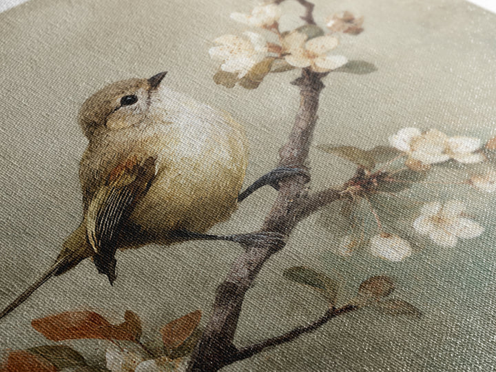 Small Bird on a Flowering Branch Framed Canvas Print, Bed and Breakfast Art, Gallery Decor, Living Room Decor, Fine Art, BAB-1x1-62