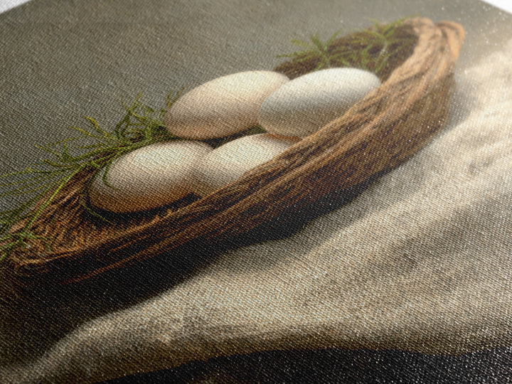 Fresh Eggs in a Woven Basket with Canvas Print, Bed and Breakfast Art, Bedroom Decor, Living Room Decor, Abstract Art, BAB-2x3-86